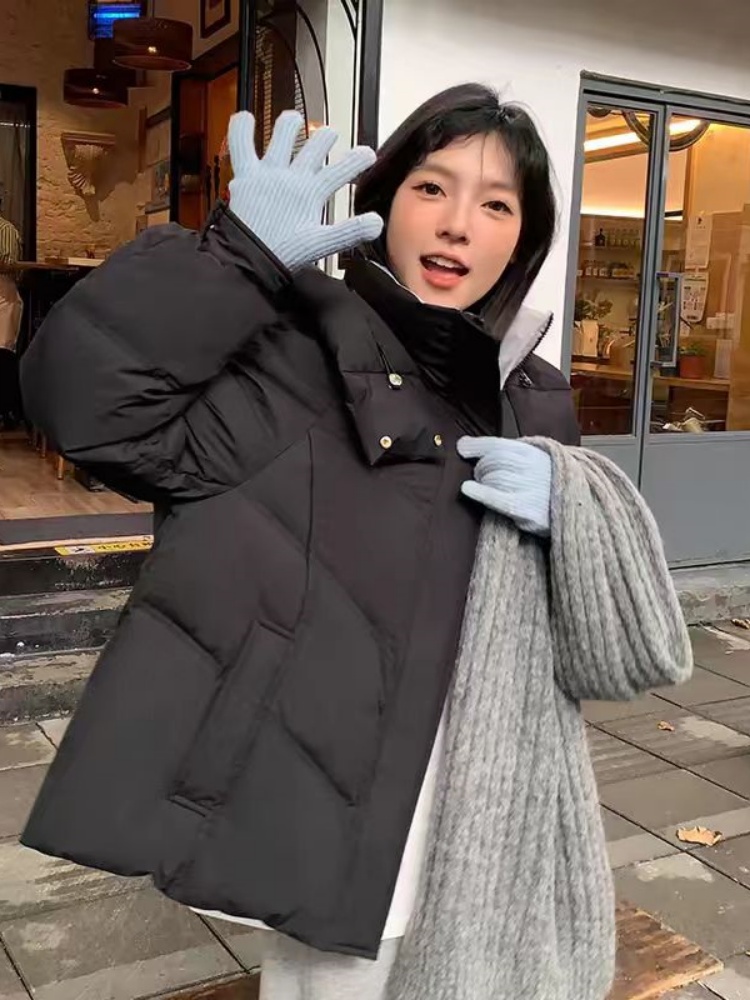 羽绒飞丝价格是多少,羽绒飞丝价格是多少钱